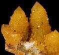 Sunshine Cactus Quartz Crystal - South Africa #98383-2